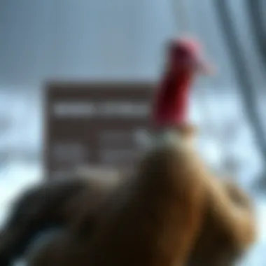 Magnificent Bebek Uyku Oyuncakları: Seçim ve Kullanım İpuçları Magnificent Bebek Uyku Oyuncakları: Seçim ve Kullanım İpuçları