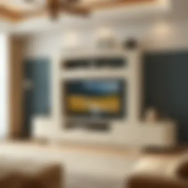 Magnificent TV Koltuk Modelleri: Seçenekler, Trendler ve İpuçları