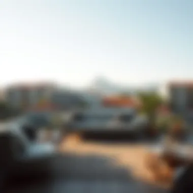 Notable Afgan Halısı 6 m2: Tasarım, Kullanım ve Seçim Rehberi