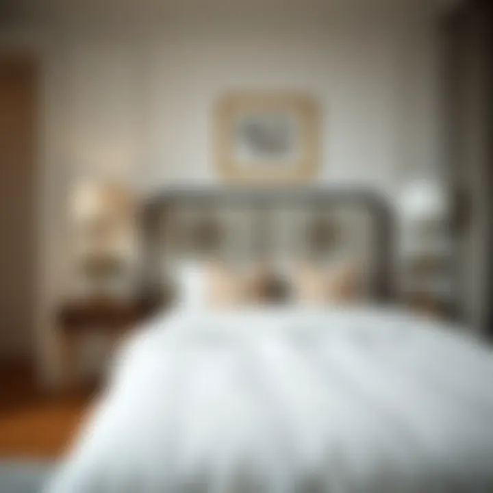 Guest room arrangement with a decorative park bed