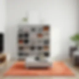 A contemporary shoe rack displaying various stylish shoes in a modern living room setting.