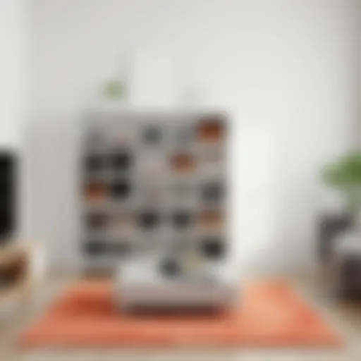 A contemporary shoe rack displaying various stylish shoes in a modern living room setting.