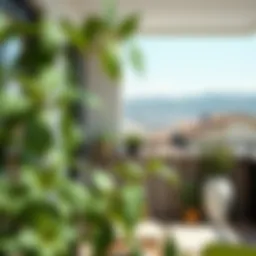 Balkon Ahşap Yer Döşemesi: Fonksiyonellik ve Estetik Introduction