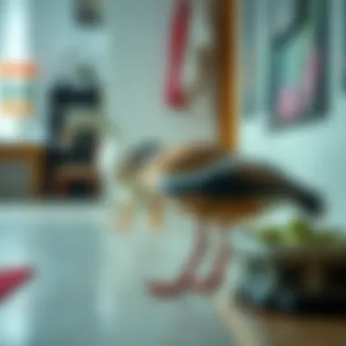 Notable Bebek Yatak Bazası Seçiminde Dikkat Edilmesi Gerekenler Notable Bebek Yatak Bazası Seçiminde Dikkat Edilmesi Gerekenler