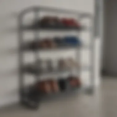Durability test of metal shoe rack