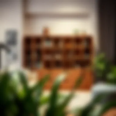 Functional Storage Solutions in Compact Spaces Functional storage solutions in compact spaces