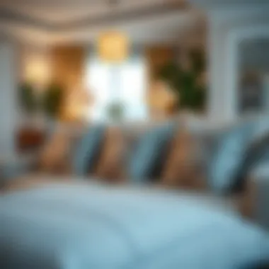Elegant Pillows Adding Comfort to Living Spaces Elegant decorative pillows in a cozy living room