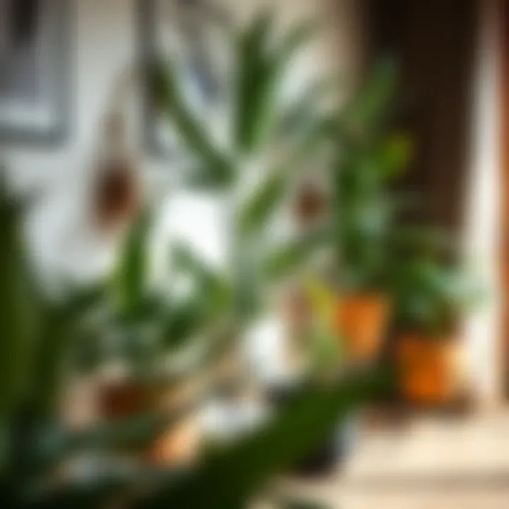 An elegant display of potted plants integrated into interior design