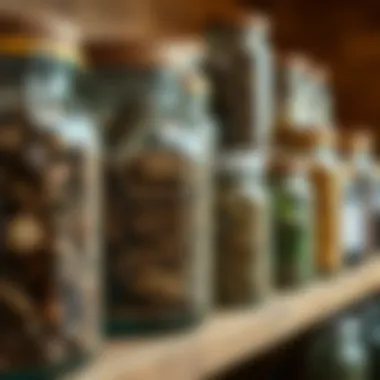 Dried Herbs in Glass Jars An assortment of dried herbs in glass jars on a shelf