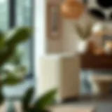 The Aesthetic Appeal of Madame Coco Elegant design of Madame Coco storage container showcasing its aesthetic appeal