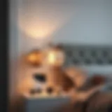 Elegant bedside lamp enhancing a modern bedroom