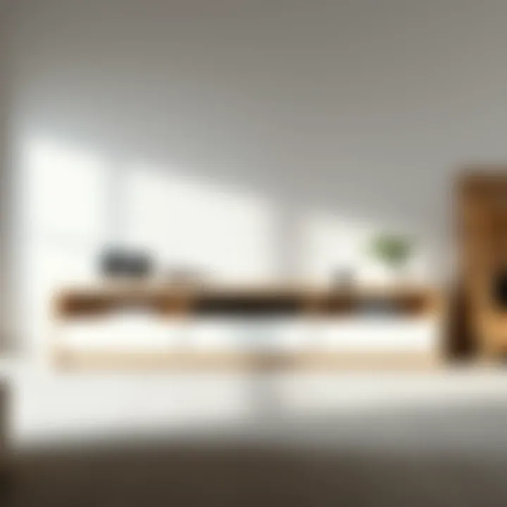 Minimalist Aesthetic Minimalist TV unit with clean lines and natural materials