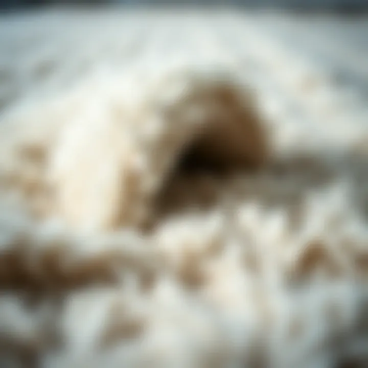 Close-up of high-quality materials used in polar rug covers