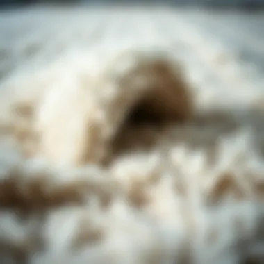 High-Quality Materials in Polar Rug Covers Close-up of high-quality materials used in polar rug covers