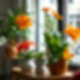 A vibrant arrangement of potted flowers adding warmth to a modern living space