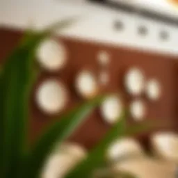 Elegant ceramic wall plates enhancing interior decor