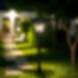 Solar garden lamp illuminating a pathway at night