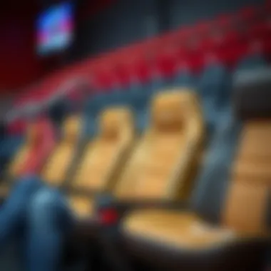 Variety of Sports-Themed Seating Styles Diverse styles of sports-themed seating