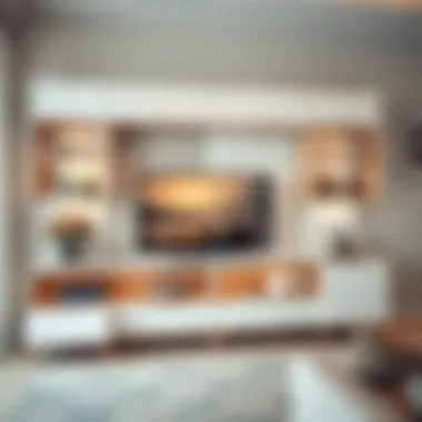 Contemporary TV Unit with Innovative Storage Contemporary TV unit featuring innovative storage solutions and decor accents