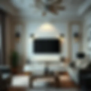 Classic styled TV wall with artistic accents