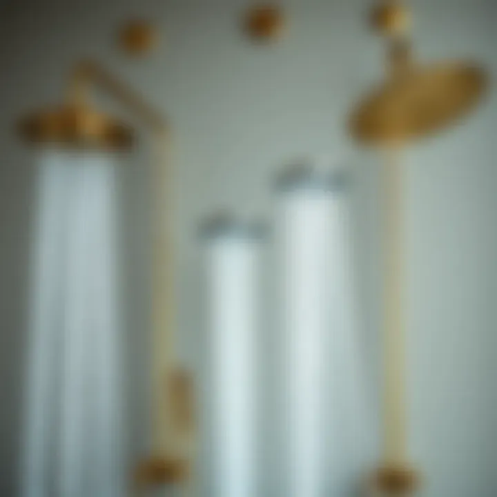 Diverse Designs of Vacuum Shower Head Holders Various designs of vacuum shower head holders displayed together