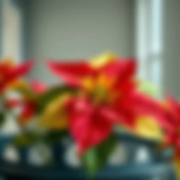 Detailed View of Lifelike Artificial Poinsettia Close-up of a realistic-looking artificial poinsettia with vibrant colors.